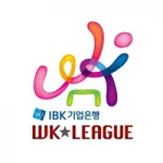 LEAGUE #522 logo