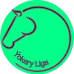LEAGUE #527 logo