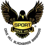 TEAM #10117 logo