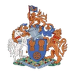 TEAM #1019 logo