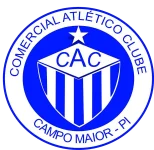 TEAM #10201 logo
