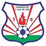 TEAM #10231 logo