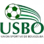 TEAM #10343 logo