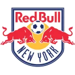 TEAM #1091 logo