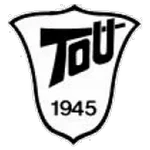TEAM #11132 logo