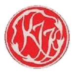 TEAM #11174 logo