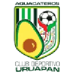 TEAM #1132 logo