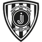 TEAM #11338 logo