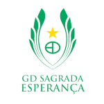 TEAM #11362 logo
