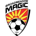 TEAM #11428 logo