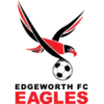 TEAM #11430 logo