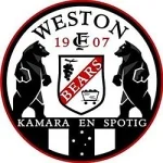 TEAM #11434 logo