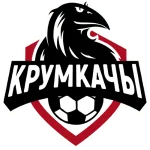 TEAM #11447 logo
