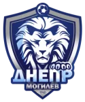 TEAM #11480 logo