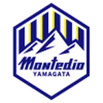 TEAM #11692 logo