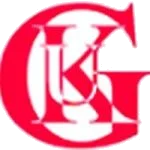 TEAM #11763 logo