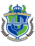 TEAM #11793 logo