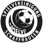 TEAM #12300 logo