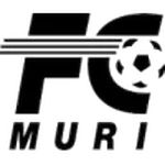 TEAM #12439 logo