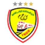 TEAM #12491 logo