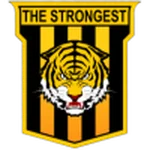 TEAM #12593 logo