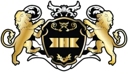 TEAM #12863 logo