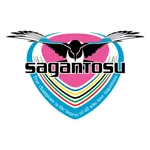 TEAM #1293 logo