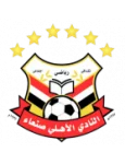 TEAM #13034 logo
