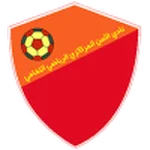 TEAM #13036 logo