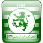 TEAM #13060 logo