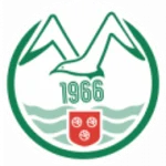 TEAM #13125 logo