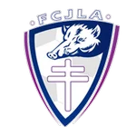 TEAM #13127 logo