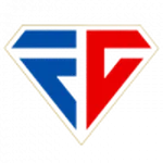 TEAM #13163 logo