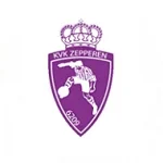 TEAM #13194 logo