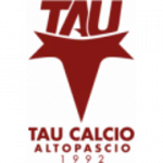 TEAM #13199 logo