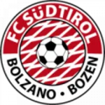 TEAM #132 logo