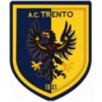 TEAM #13228 logo