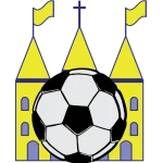 TEAM #13238 logo