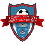 TEAM #13239 logo