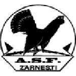 TEAM #13242 logo