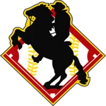 TEAM #13405 logo