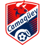 TEAM #13407 logo