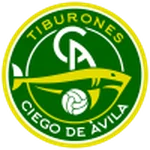 TEAM #13408 logo