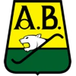 TEAM #13434 logo