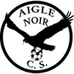 TEAM #13447 logo