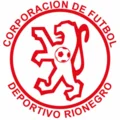 TEAM #13451 logo