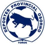 TEAM #13465 logo