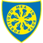 TEAM #13482 logo