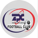TEAM #13519 logo