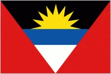 TEAM #13528 logo